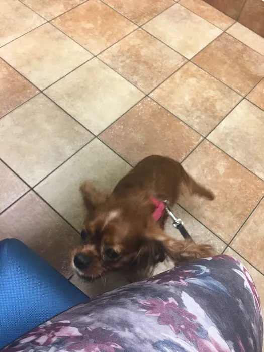Banfield Pet Hospital 12