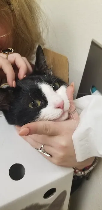 Banfield Pet Hospital 12