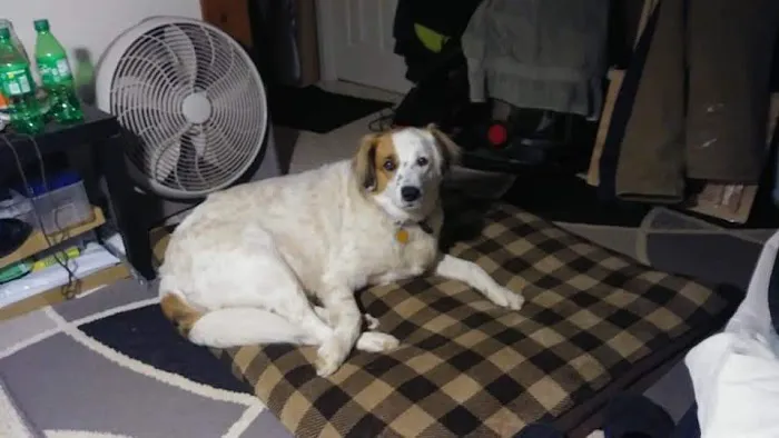Banfield Pet Hospital 12