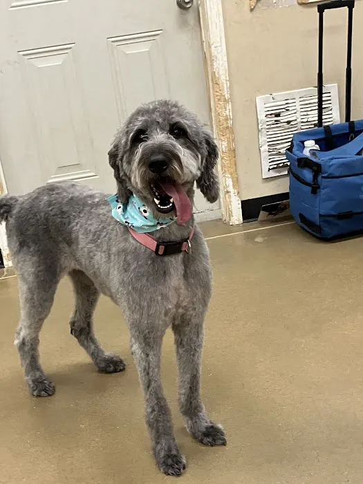 Banfield Pet Hospital 12