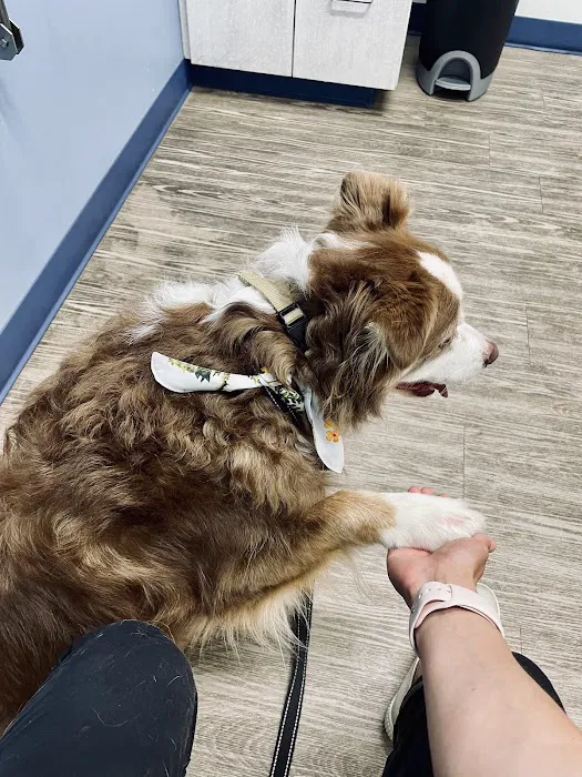 River’s Edge Animal Hospital 7