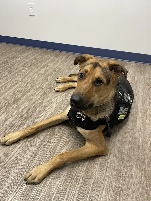 River’s Edge Animal Hospital 6