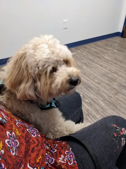 River’s Edge Animal Hospital 10