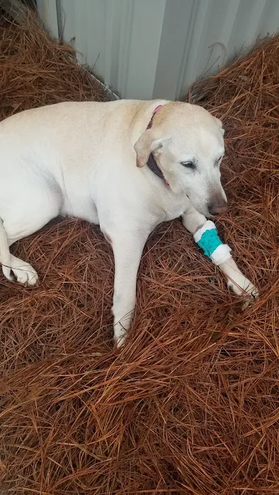 River’s Edge Animal Hospital 5