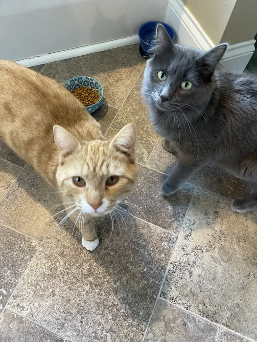 Healthy Pets - Spay, Neuter, and Wellness Clinic 12