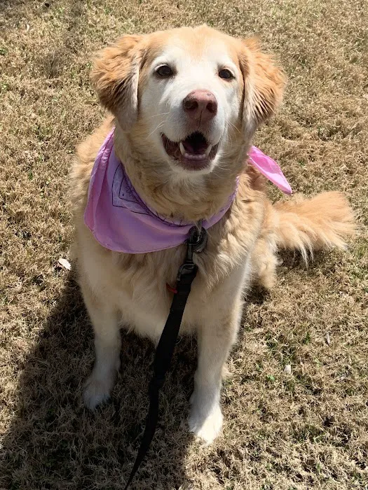 Healthy Pets - Spay, Neuter, and Wellness Clinic 12