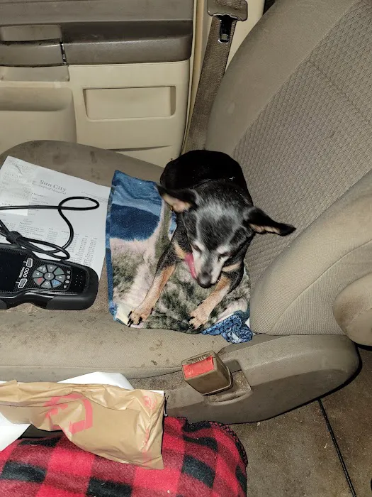 Sun City Animal Hospital Indian Land Fort Mill Vet 3