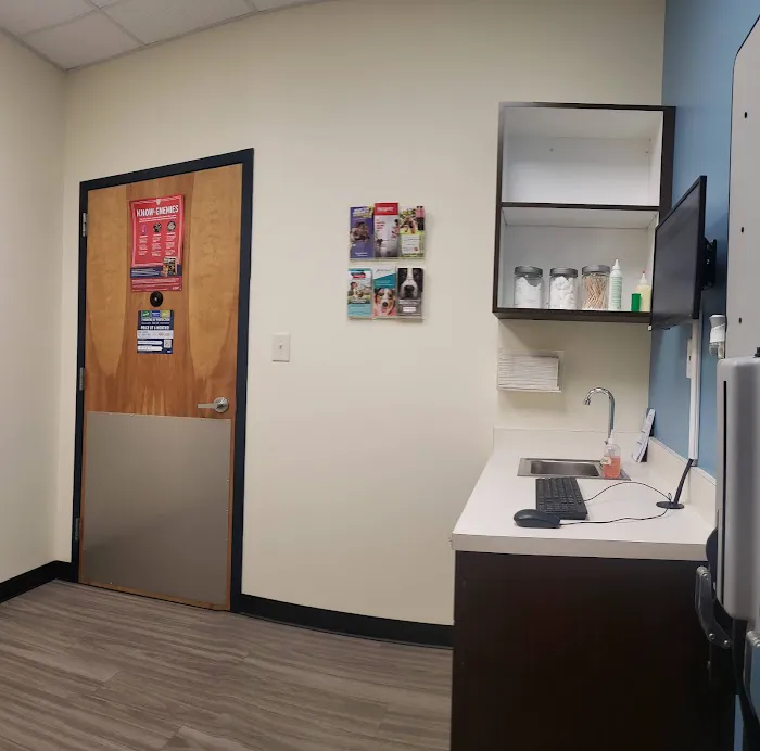 Sun City Animal Hospital Indian Land Fort Mill Vet 2