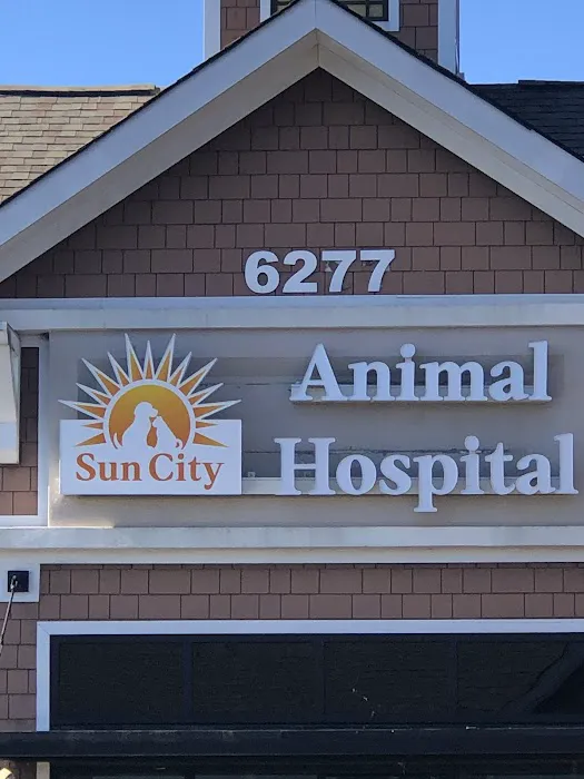 Sun City Animal Hospital Indian Land Fort Mill Vet 8