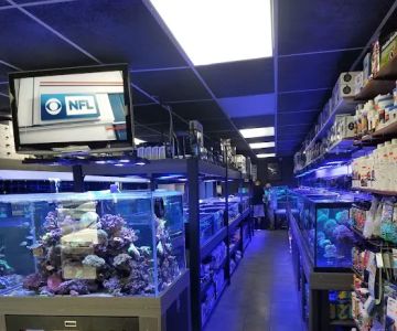 Strictly Fish & Corals