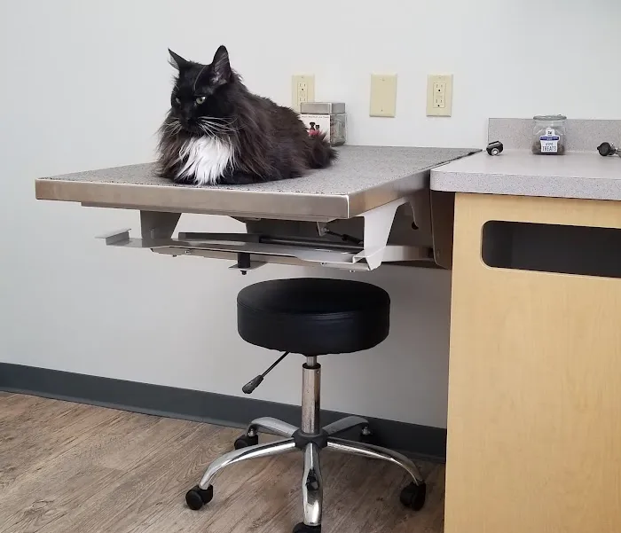 Silver Spring Animal Wellness Center 5