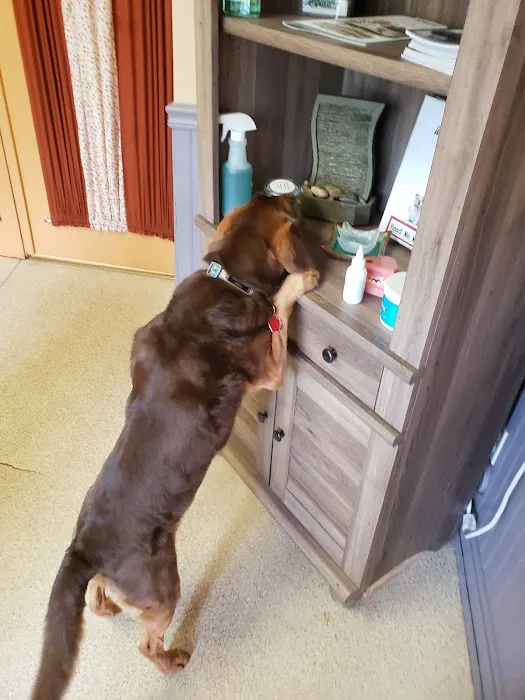 Silver Spring Animal Wellness Center 8