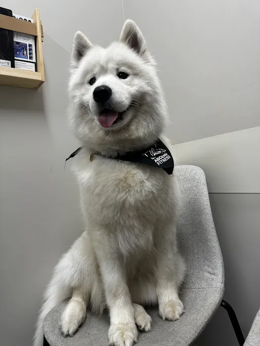 Good Land Veterinary Clinic 12