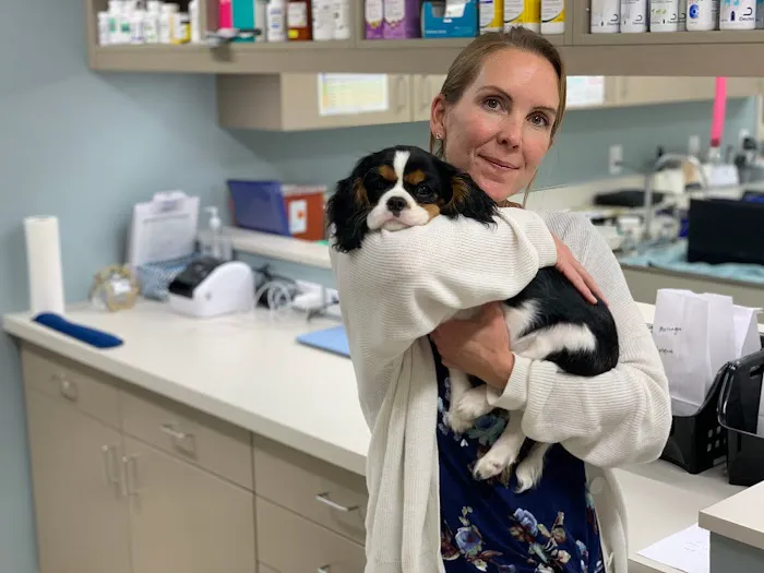 Good Land Veterinary Clinic 12
