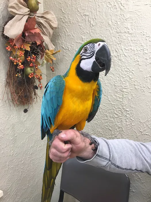 My Pet's Vet 12