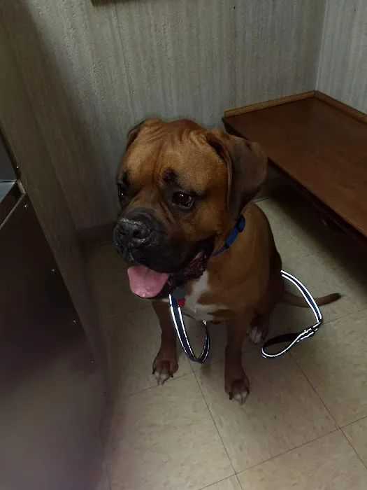 Park Pet Hospital 12