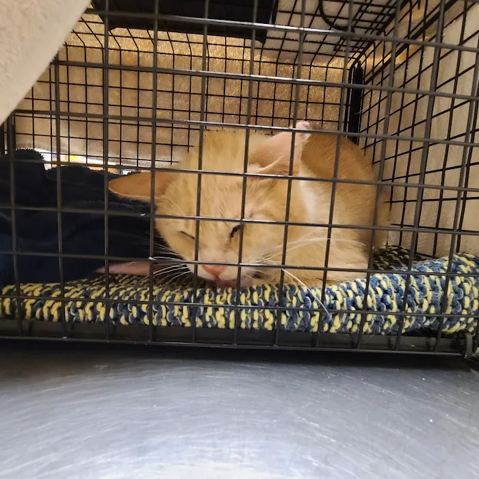 Park Pet Hospital 12