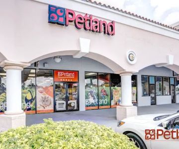 Petland Miami