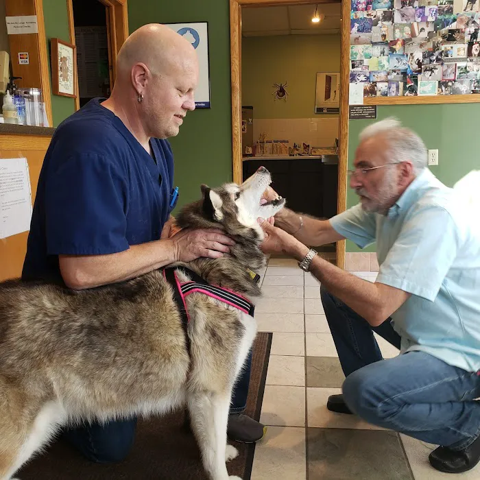 Menomonee Falls Animal Hospital 12