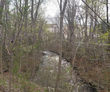Menomonee Falls Animal Hospital