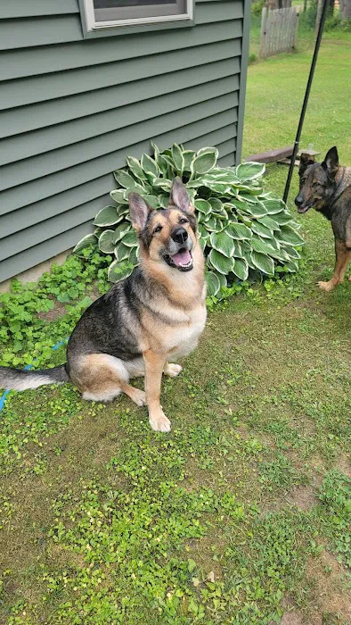 Veterinary Dental Specialists of Wisconsin 1