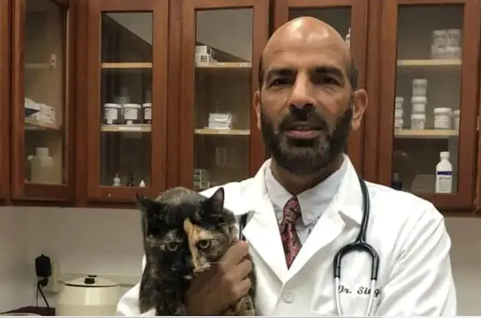 ADVANCED VETERINARY CARE CLINIC 12