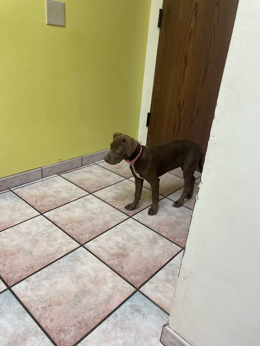 ADVANCED VETERINARY CARE CLINIC 12