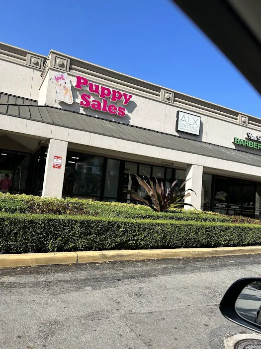 Puppy Sales 1