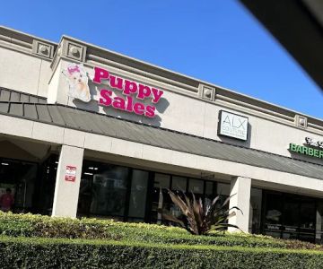 Puppy Sales