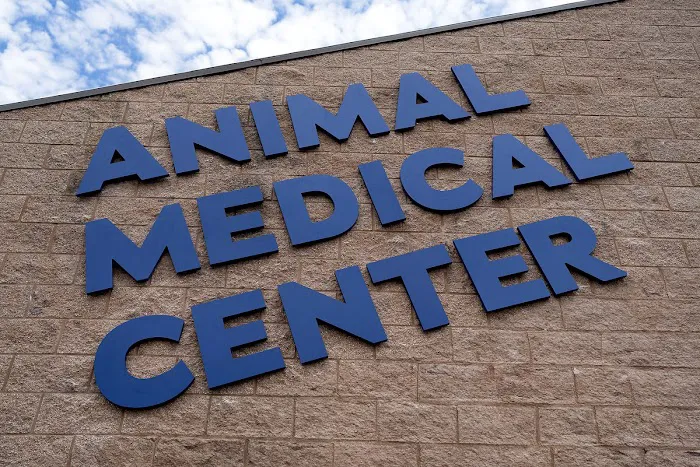 Animal Medical Center 12
