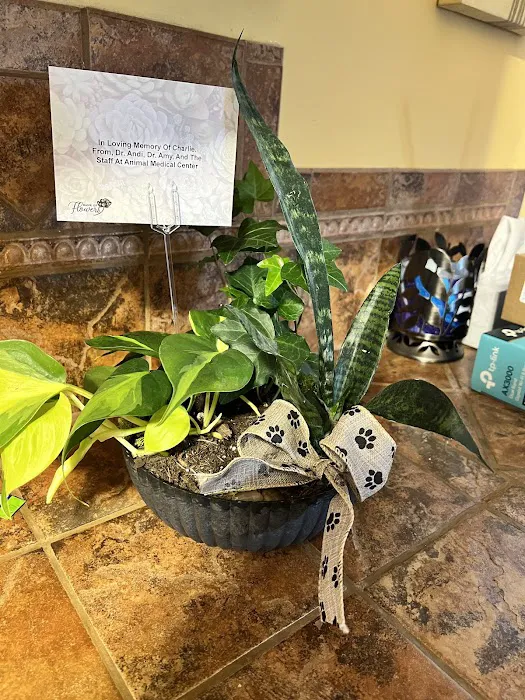 Animal Medical Center 12