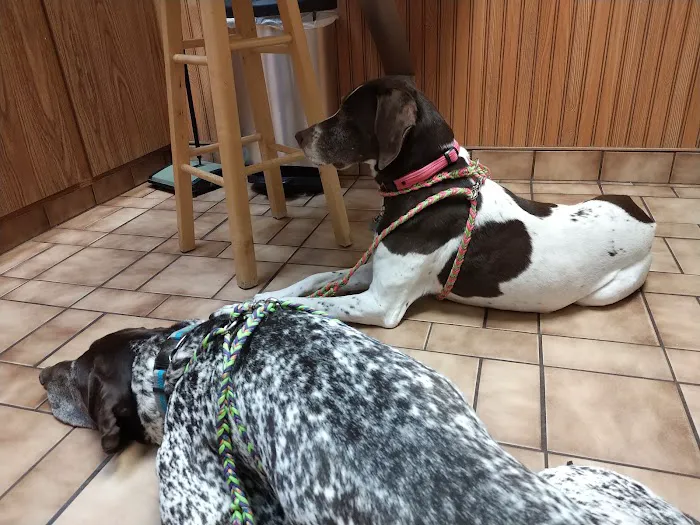 Animal Medical Center 12