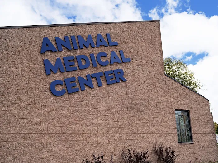 Animal Medical Center 12