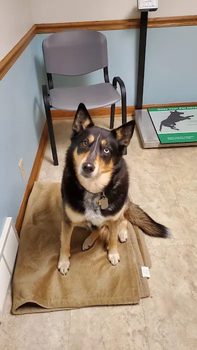 Germantown Animal Hospital 12