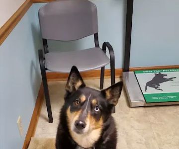 Germantown Animal Hospital