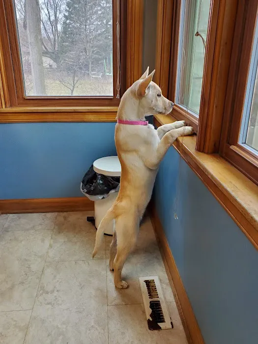 Germantown Animal Hospital 12