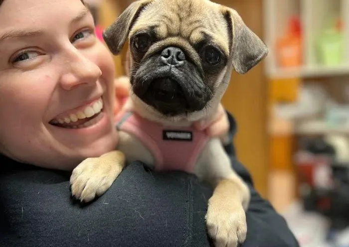 Germantown Animal Hospital 12