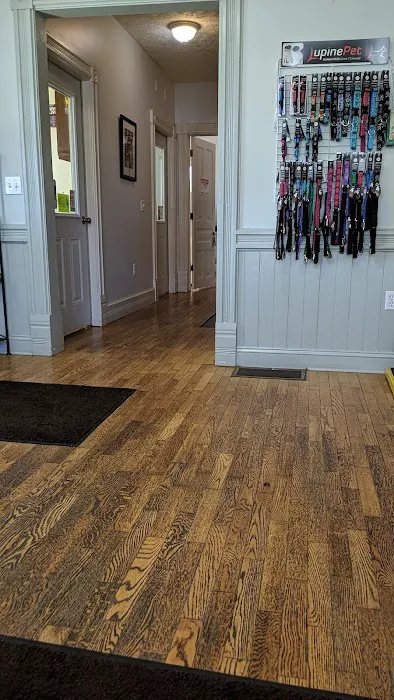 Laingsburg Animal Hospital 4