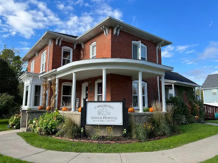 Laingsburg Animal Hospital 5