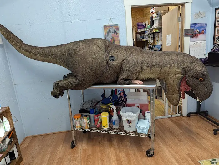 Aquarium Depot 2