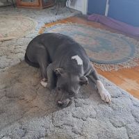 Clay-Mar Veterinary Clinic ico