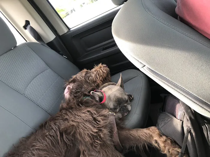 Northside Animal Hospital 7