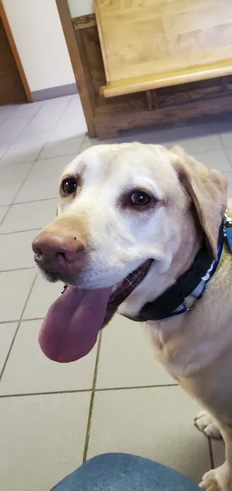 Northside Animal Hospital 3