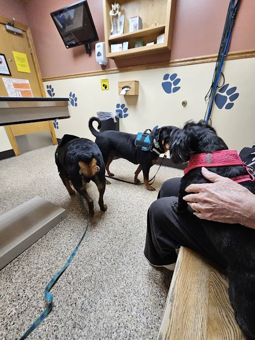 Northside Animal Hospital 9