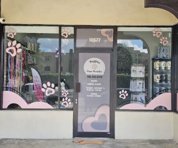 Puppies Paws Paradise - Puppies for Sale - Best Prices in Miami