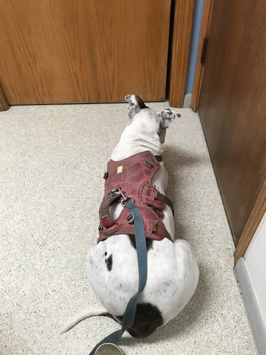 Zeeb Animal Hospital 2