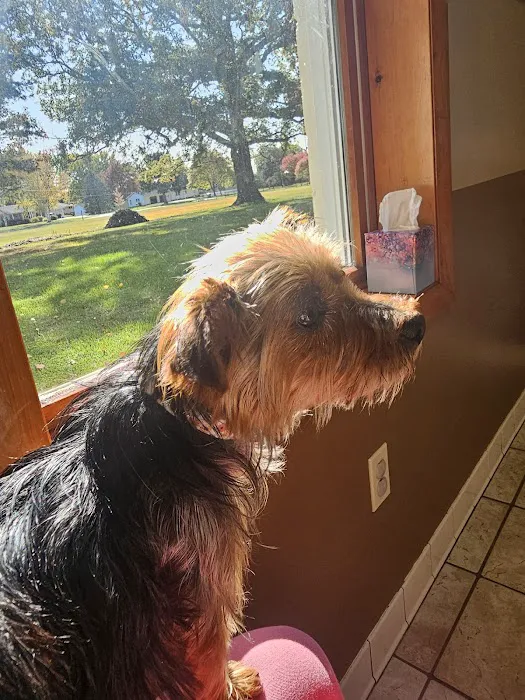 Animal Health Care of Chesaning 1