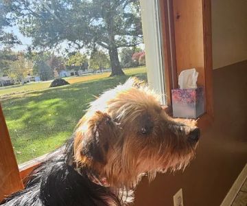 Animal Health Care of Chesaning