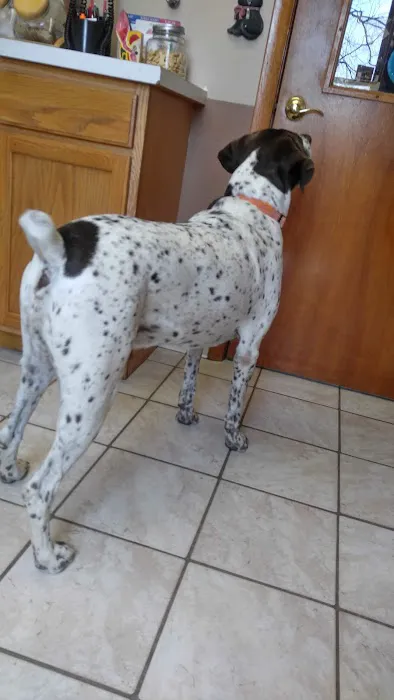 Animal Health Care of Chesaning 3