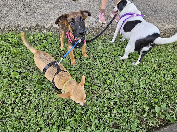 Animal Health Care of Chesaning 6